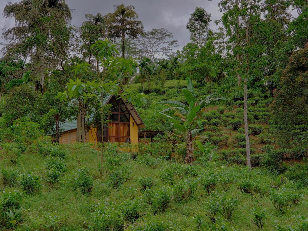 Rainforest Cabin Deniyaya Exterior foto