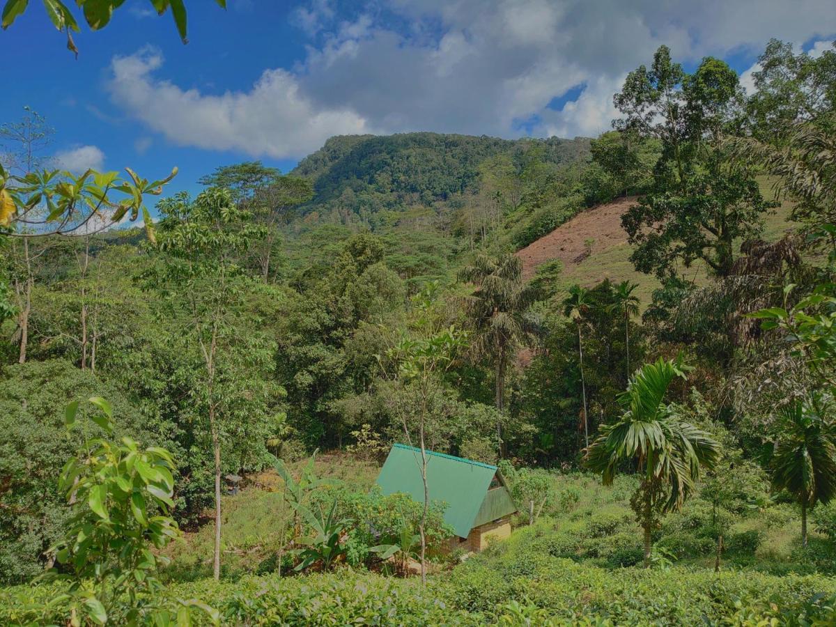 Rainforest Cabin Deniyaya Exterior foto