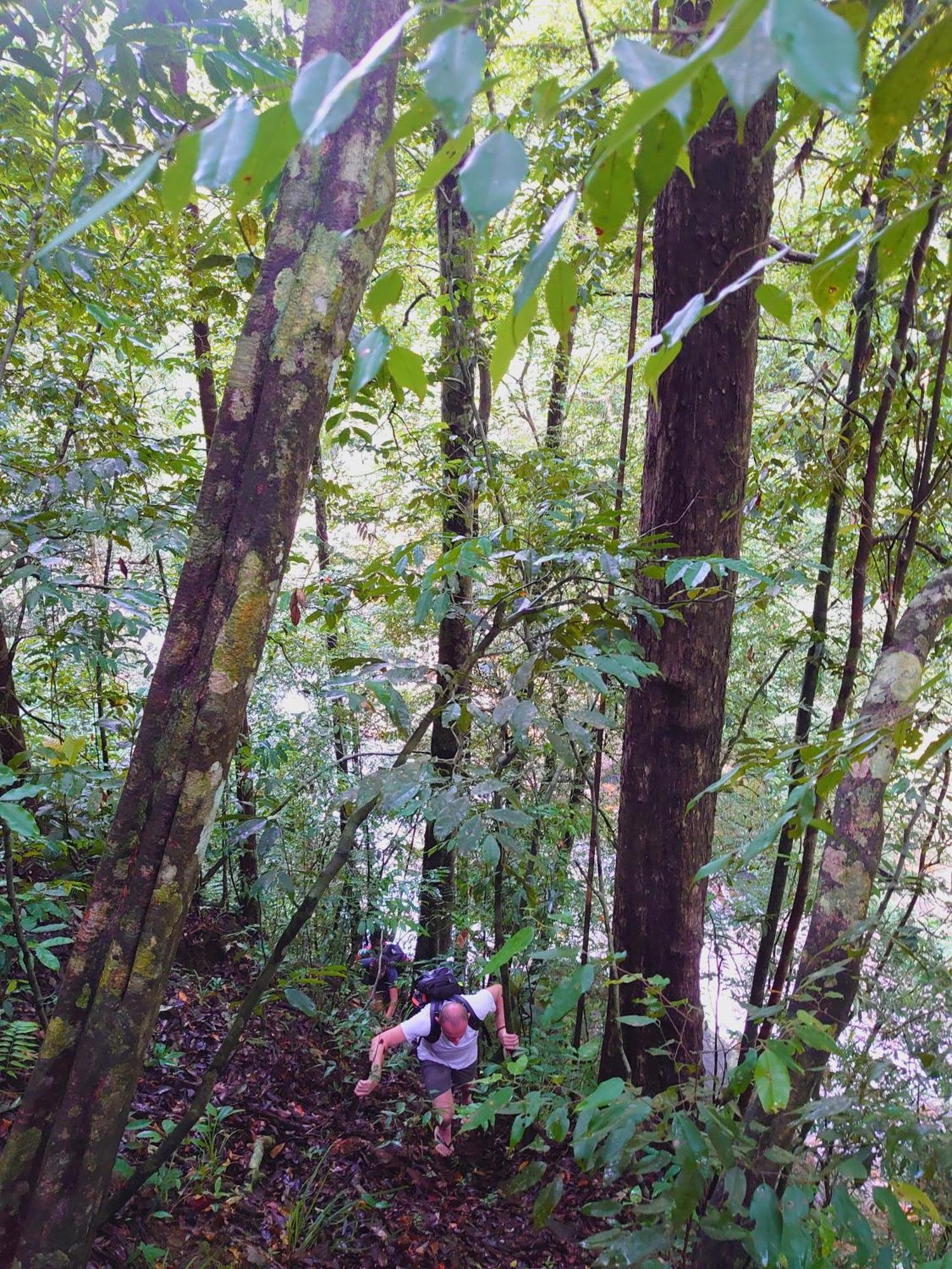 Rainforest Cabin Deniyaya Exterior foto