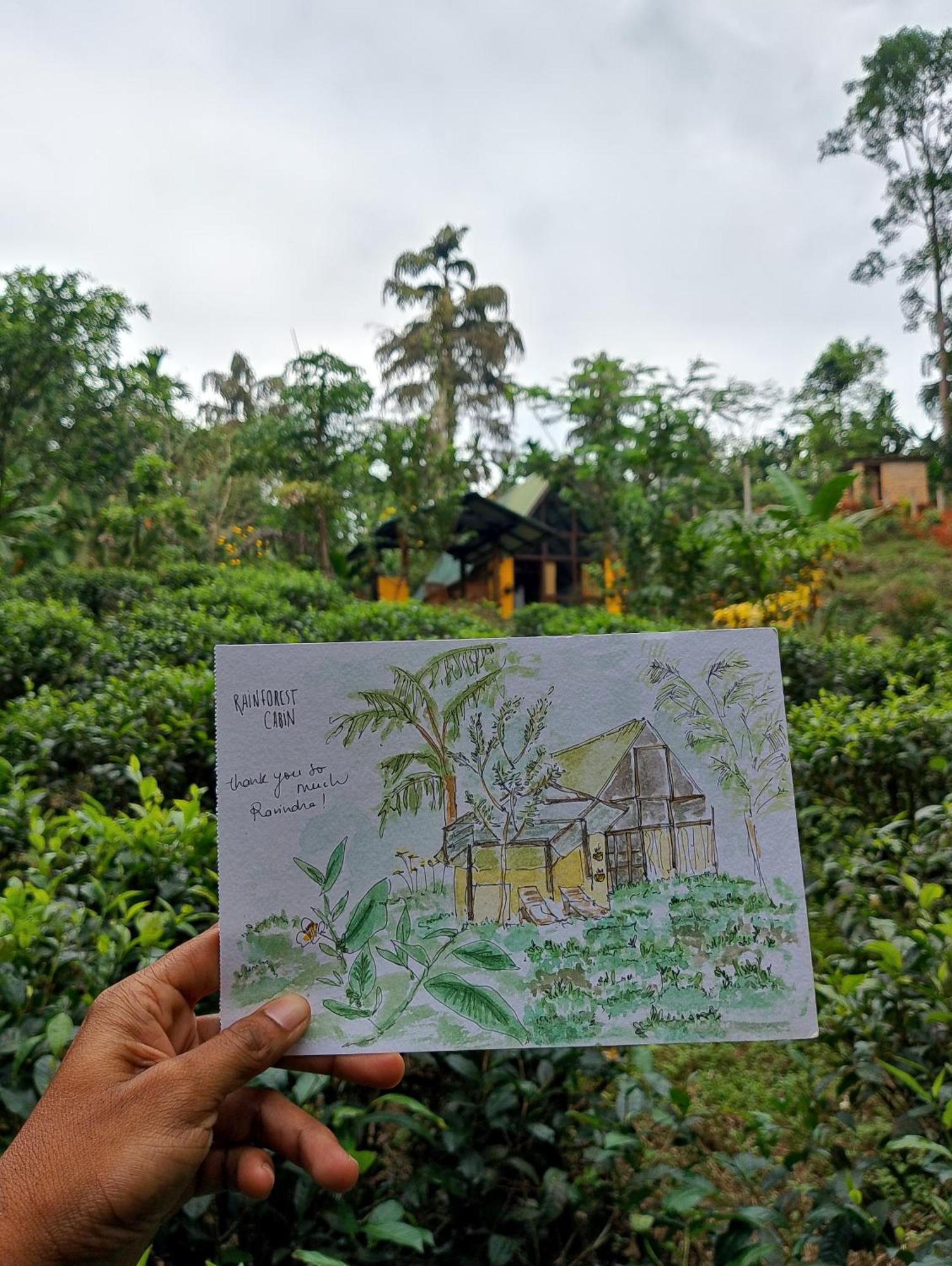 Rainforest Cabin Deniyaya Exterior foto